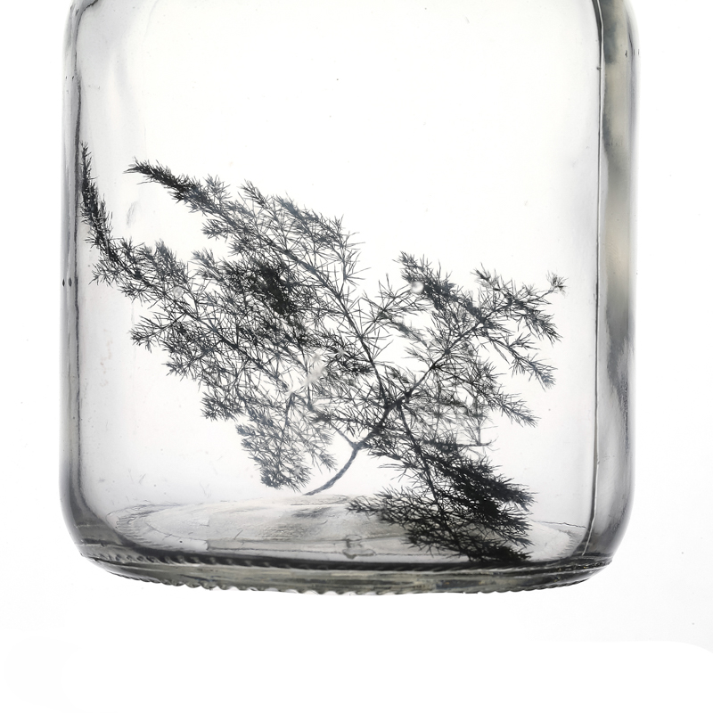 Bouteille d'ampère en verre transparent 650 ml pour graines de fleur de plante verte 